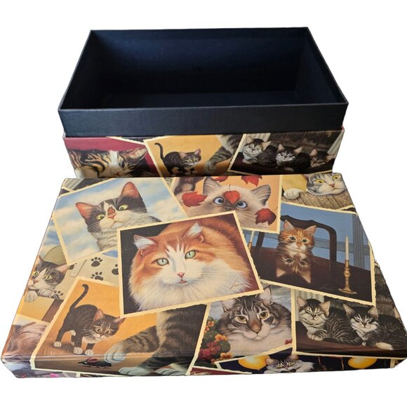 Beautiful Cat Storage Box, Excellent Condition - Picture 1 of 6